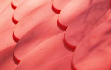 Grazeley plastic roof costs